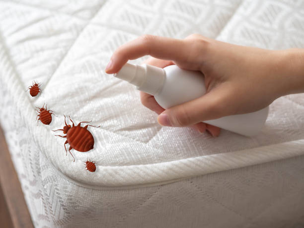 Emergency Pest Control in Viera West, FL